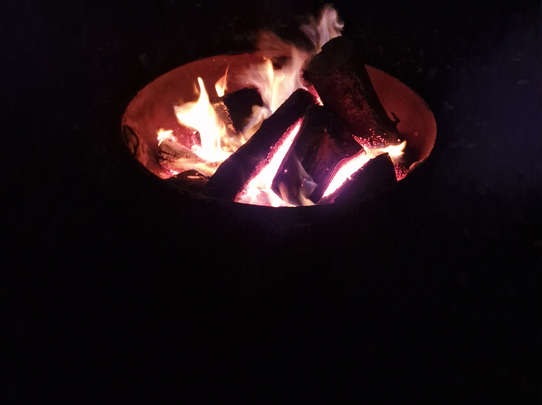 Adler und Wolfspark-Pelm必去景点