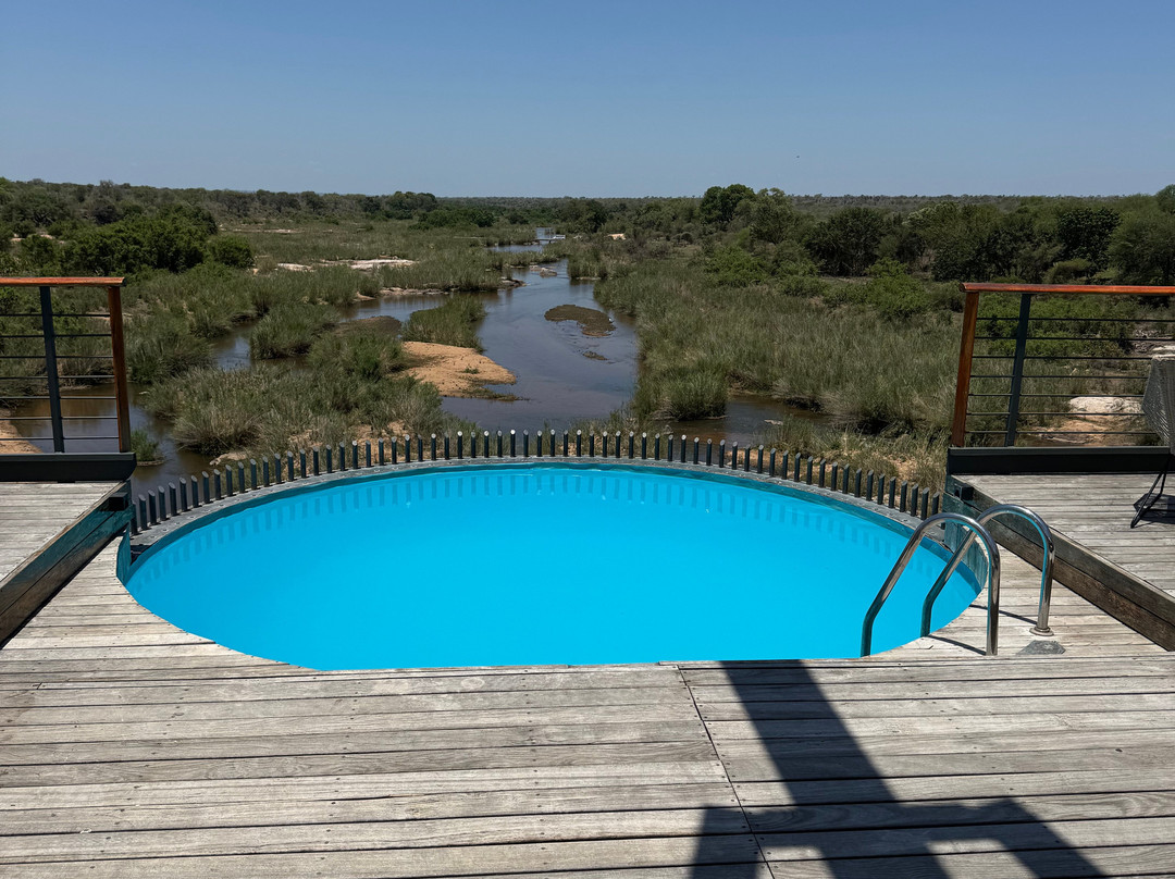 Kruger Shalati - The Train on the Bridge主图