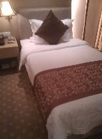 佑安大酒店主图