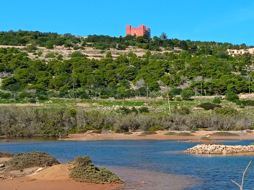 Għadira Nature Reserve景点图片