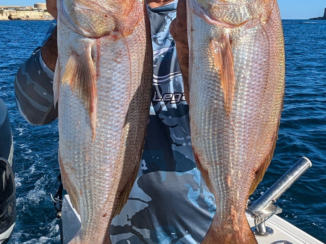 Mister Fish Fishing Charter Malta景点图片