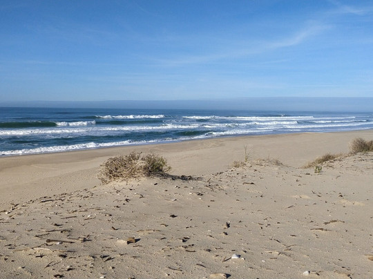 La Plage Oceane-Hourtin-Plage必去景点