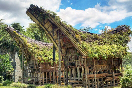 Toraja Tour Guide - Official