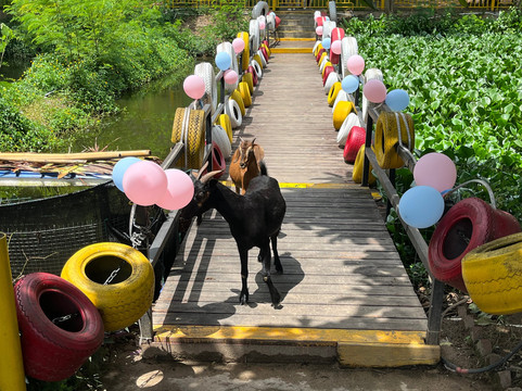 世纪金源大饭店主图