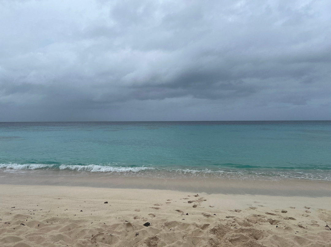 Governor's Beach-特克斯和凯科斯必去景点