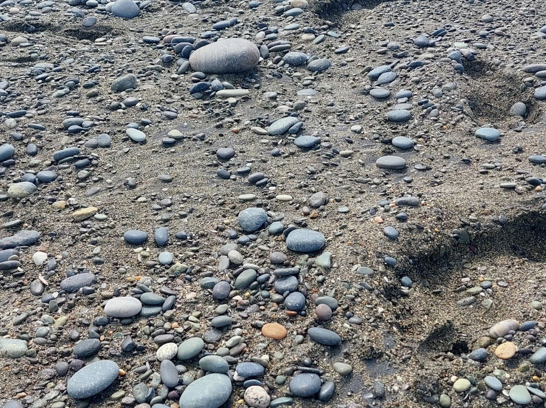 Gemstone Beach景点图片