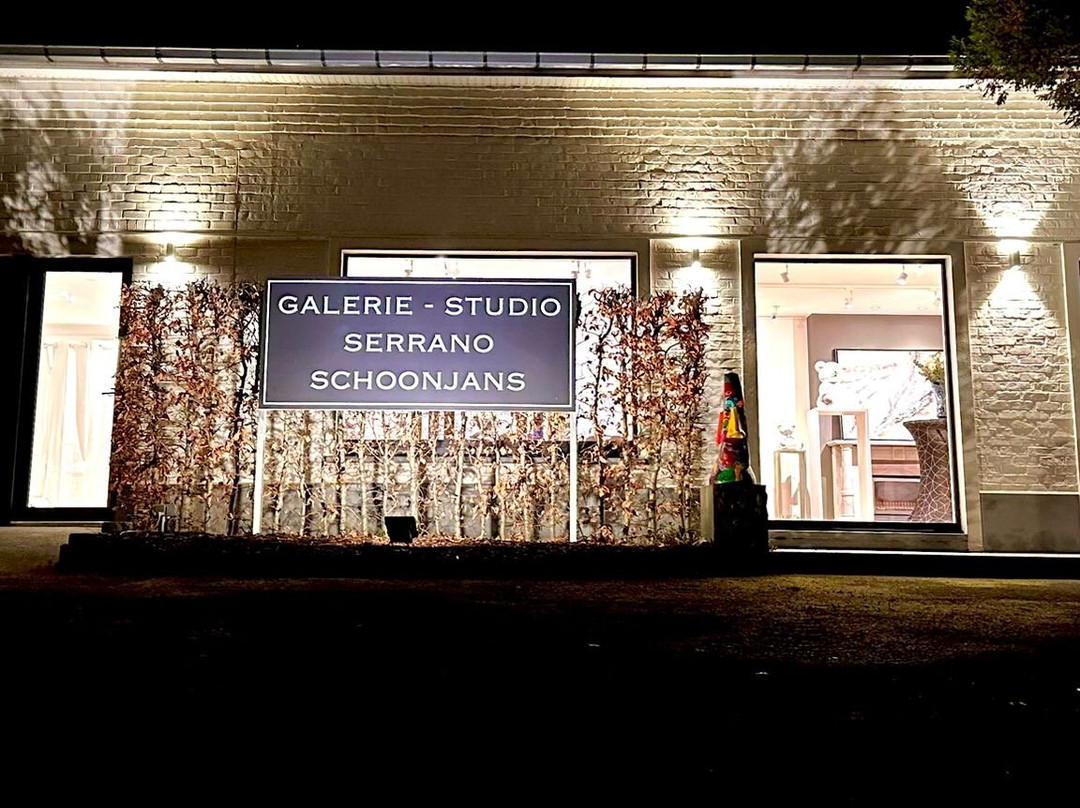 Galerie Studio Serrano Schoonjans景点图片