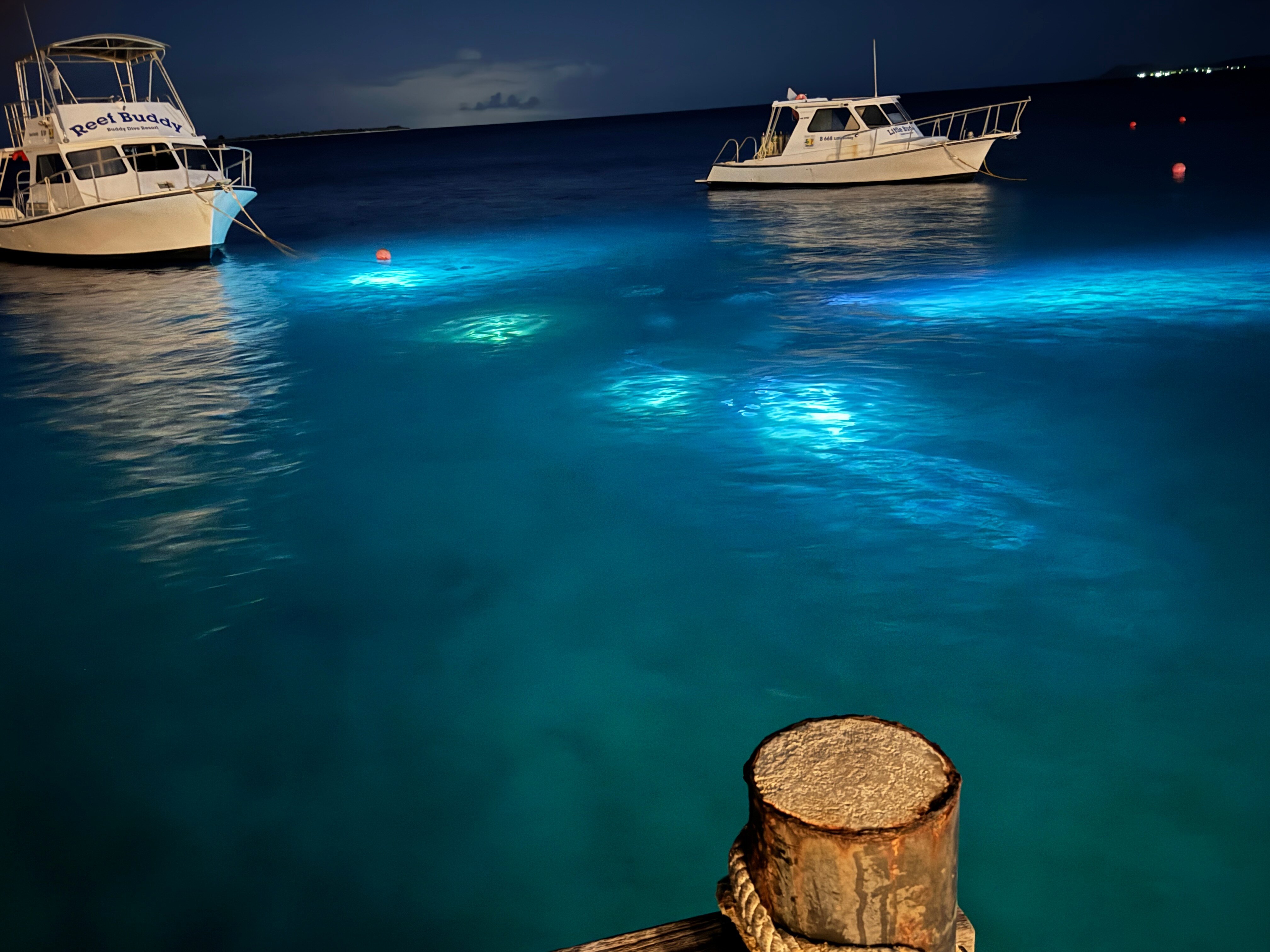 Buddy Dive Resort-泳池