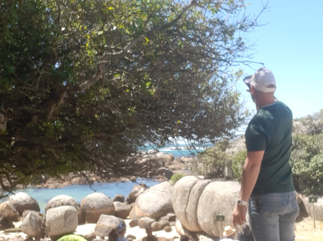 Oudekraal Beach-Cape Point必去景点