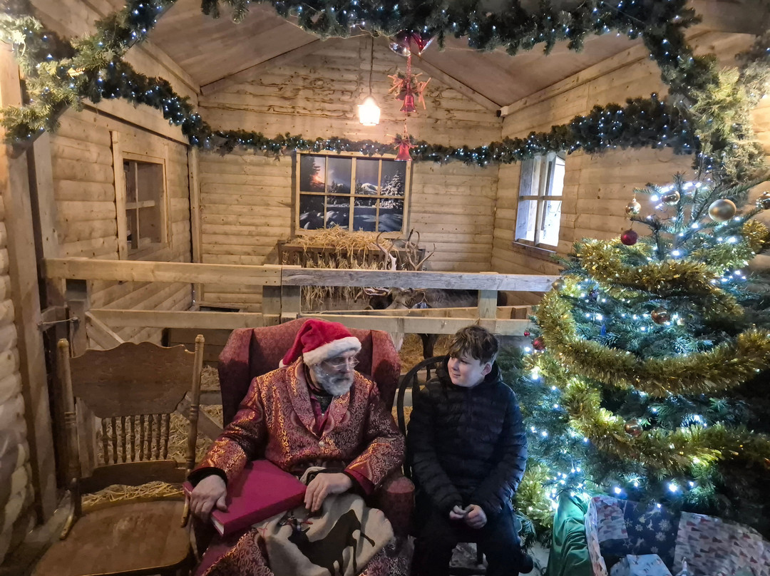 The Cotswold Reindeer Herd
