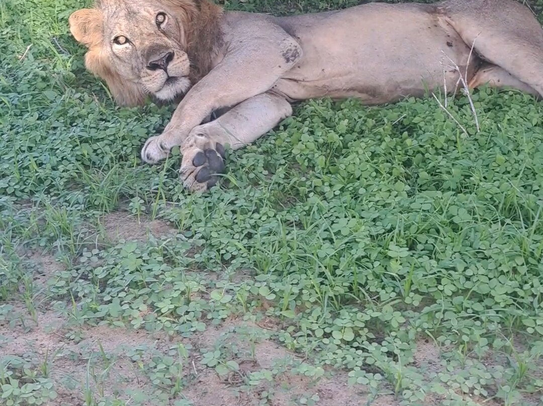 Mukuta Travels & Tours-Iringa必去景点