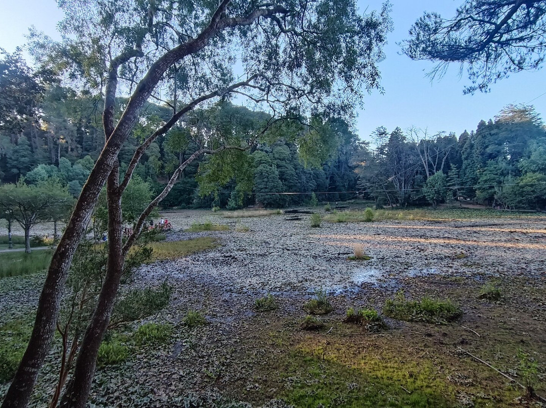 Parque Saval-瓦尔迪维亚必去景点