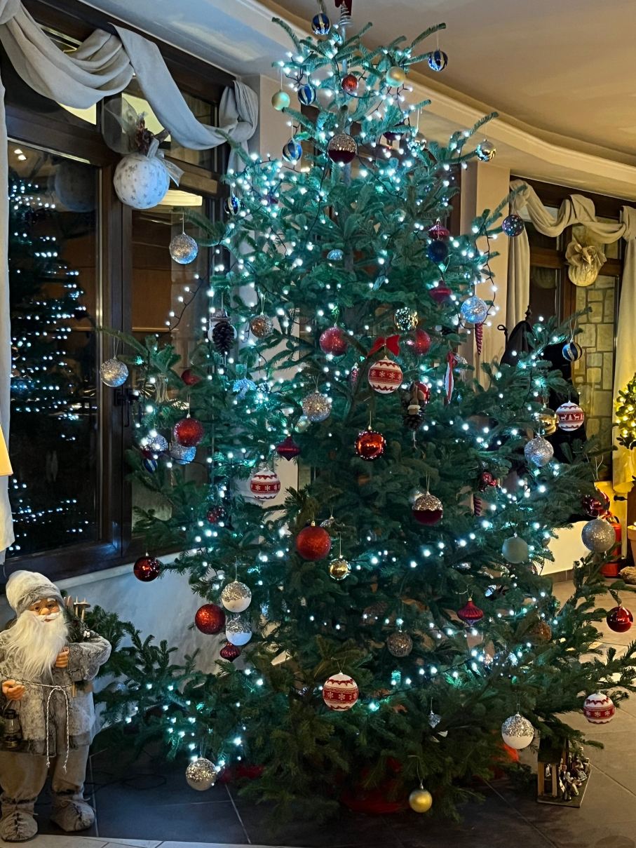 Melegos Inn Hotel-官方