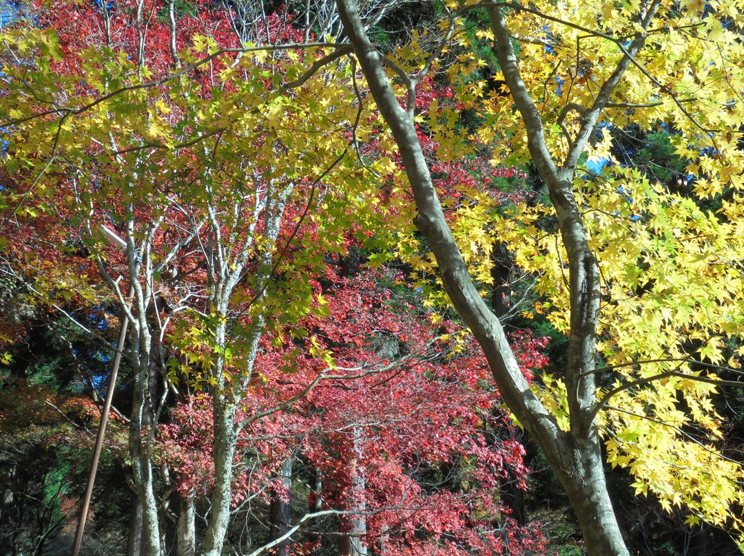 Yumori Park-中津川市必去景点