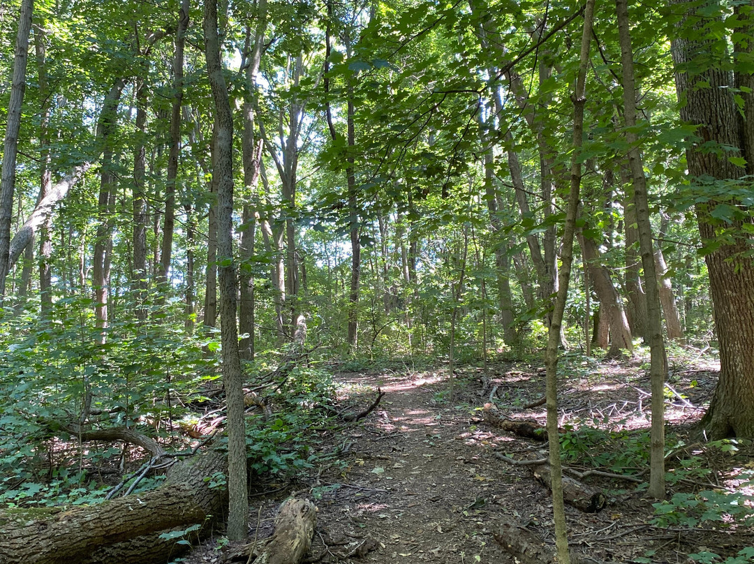 Jane Coates Wildflower Trail-Put in Bay必去景点