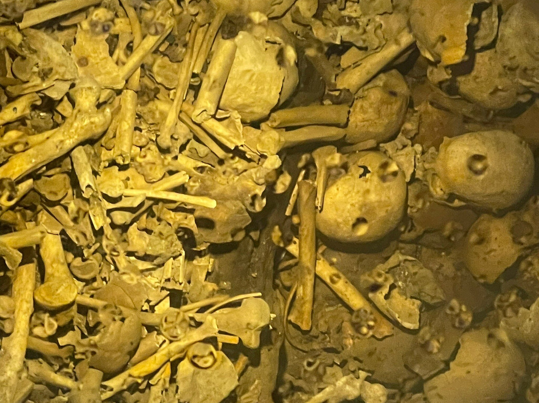 Collegiale Saint Pierre-Six-Fours-les-Plages必去景点