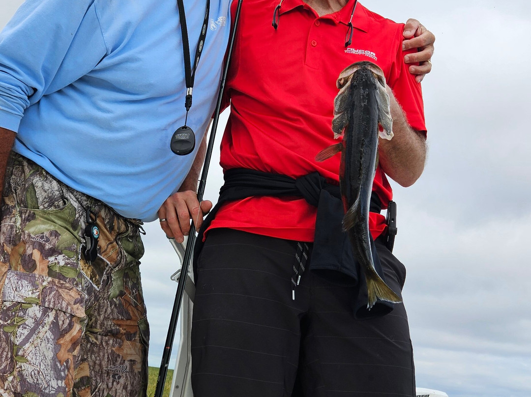 Roland Martin Marina & Resort主图