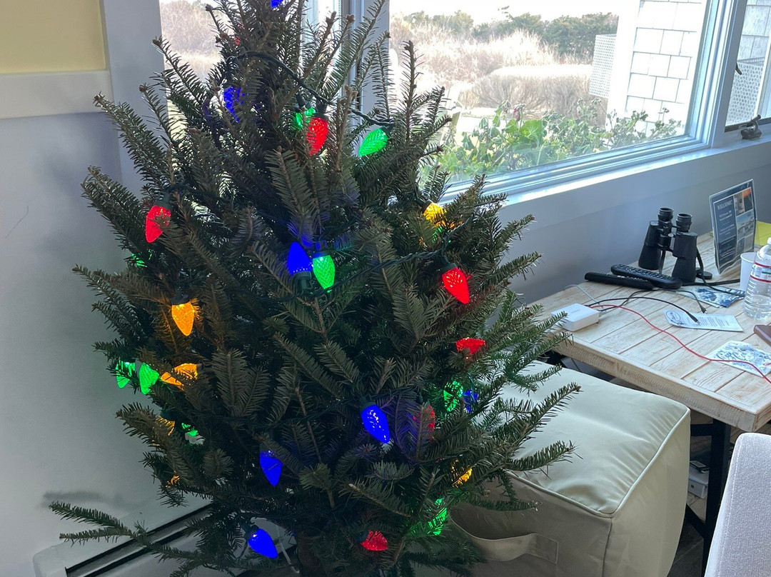 Nauset Beach Inn主图