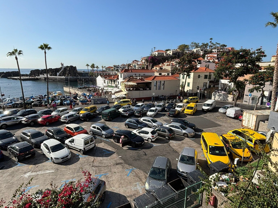 Baia de Camara de Lobos景点图片