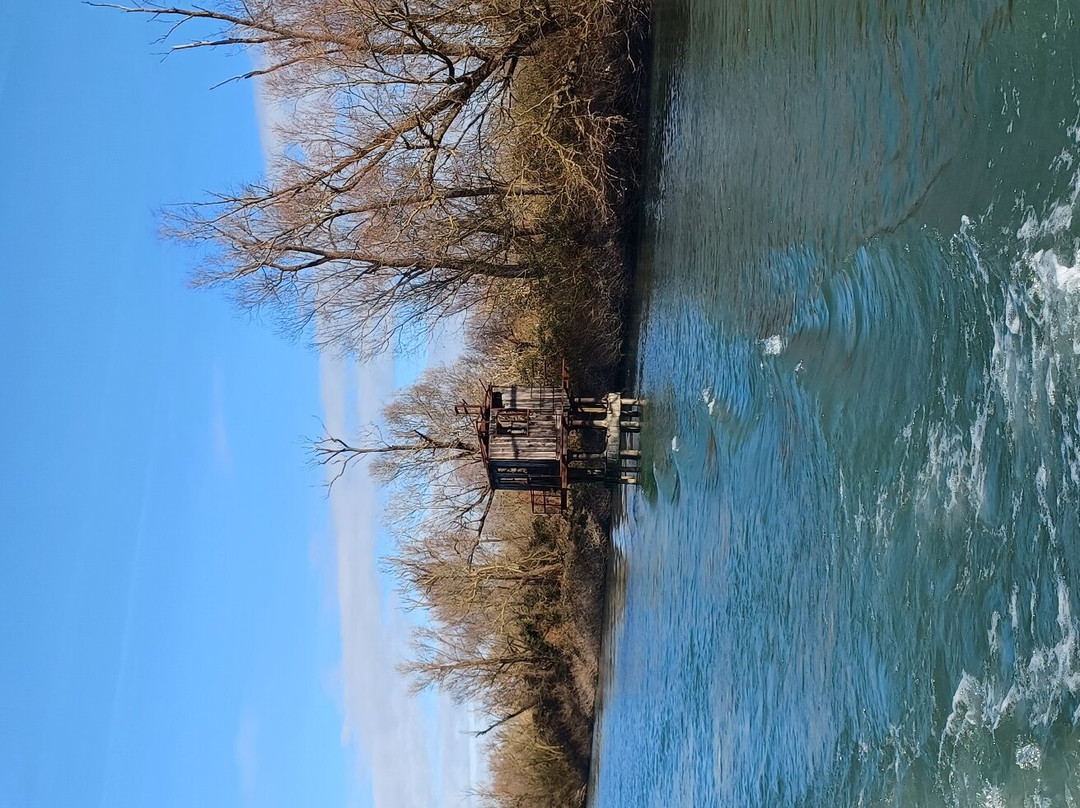 Parco Regionale Veneto del Delta del Po景点图片