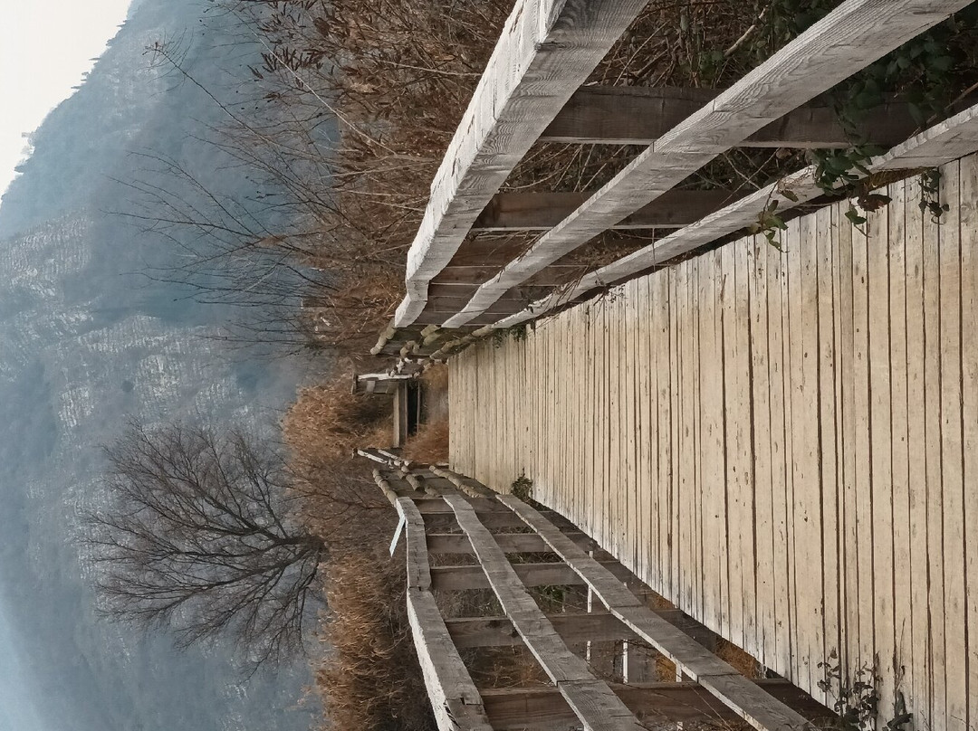 Torbiere del Sebino景点图片