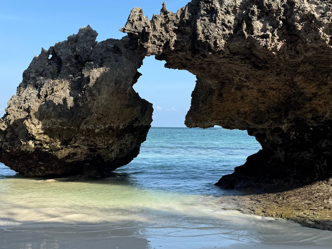 Midovic Tour Guide-桑给巴尔市必去景点