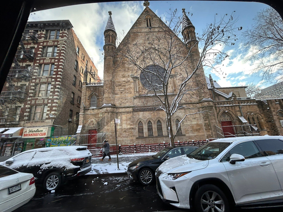 Gran Apple Tours-纽约市必去景点