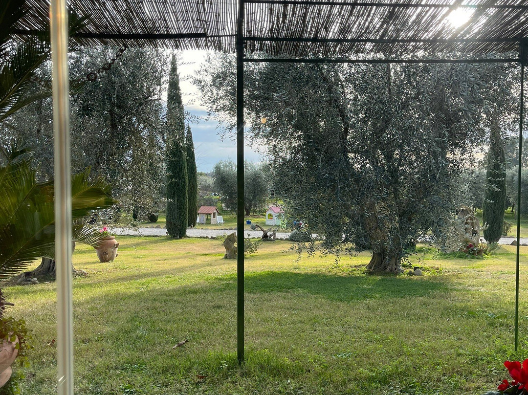 Agriturismo Casa Degli Ulivi主图