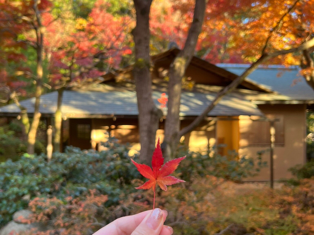 Nishinomiya Kitayama Botanical Garden-西宫市必去景点
