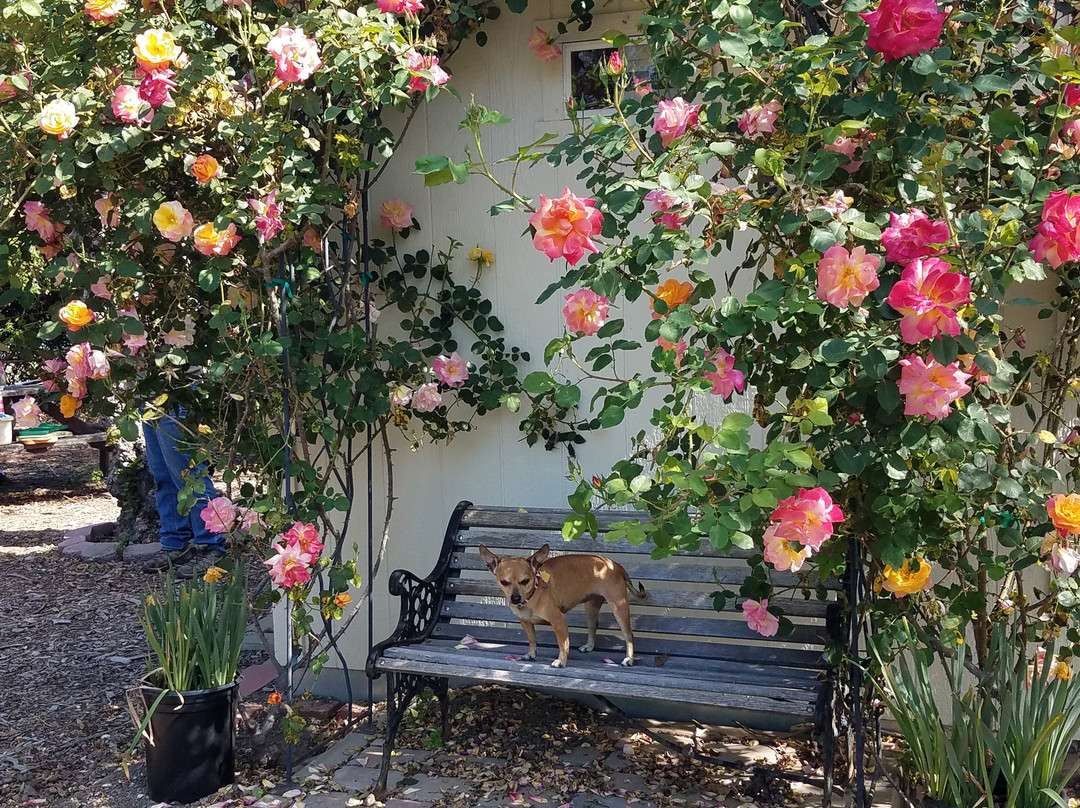 California Nursery Historical Park-费利蒙必去景点