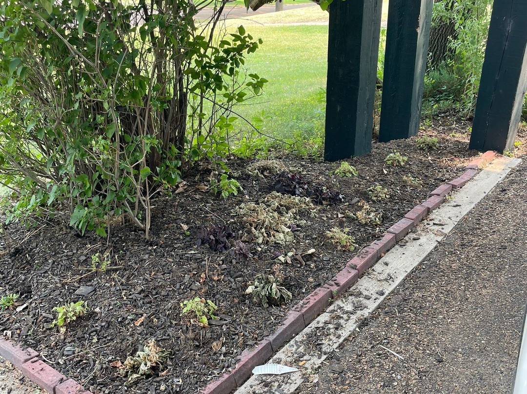 Fort Peck Hotel主图