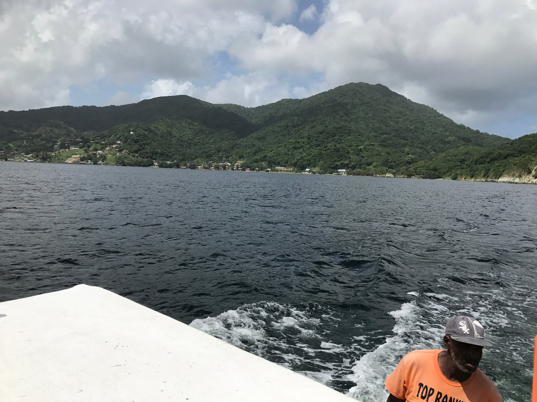 Little Tobago-Northeast Coast必去景点