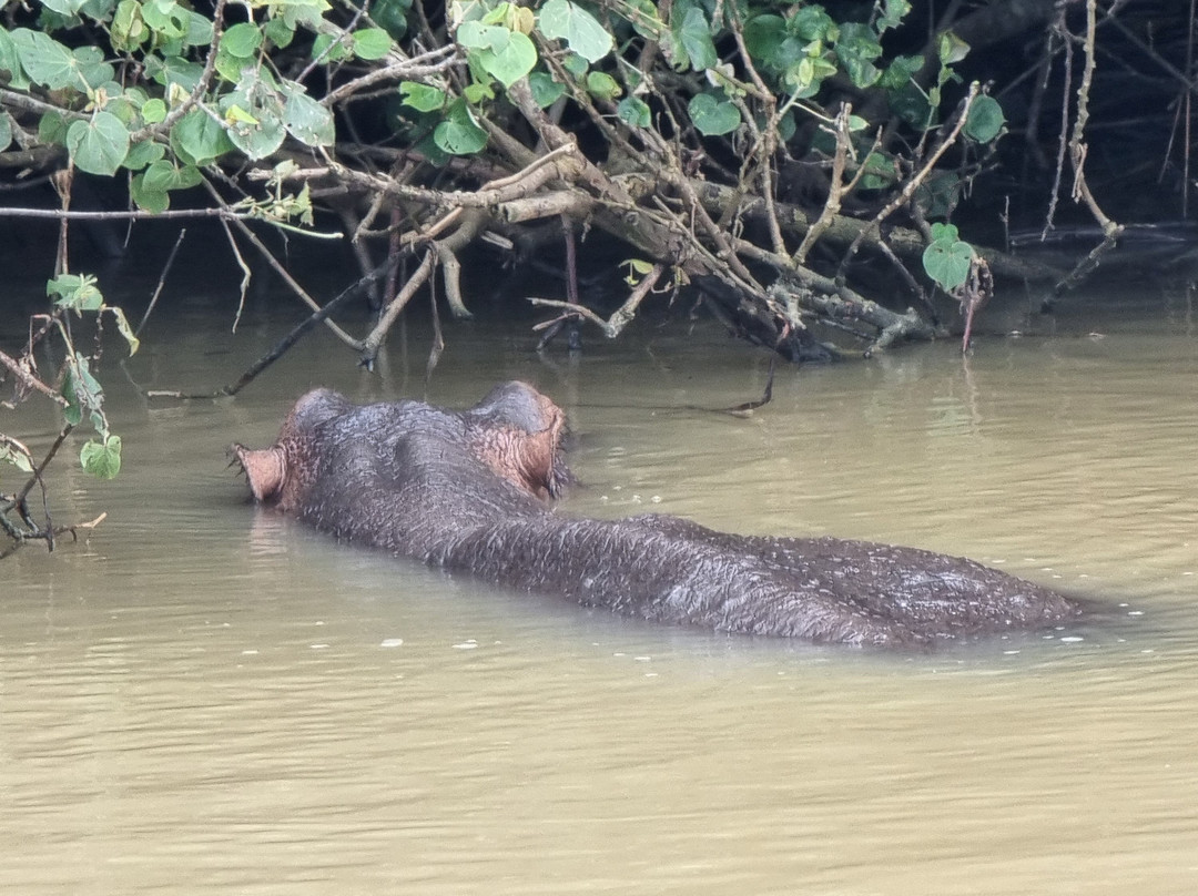 圣卢西亚湿地公园-圣露西亚必去景点