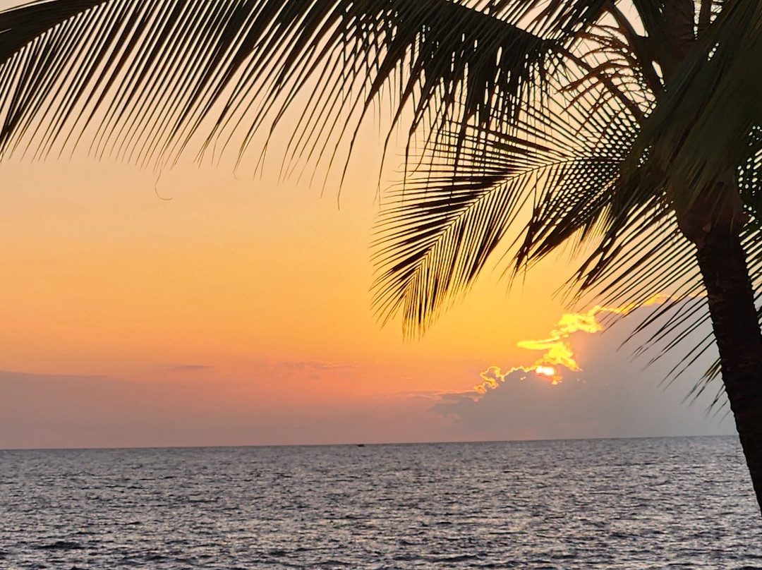 科纳提基酒店主图