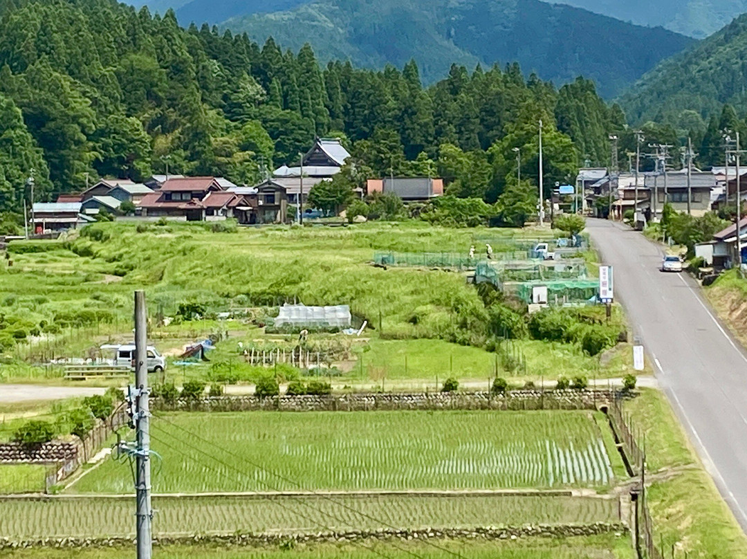 Earthquake Fault Observation Museum-本巢市必去景点