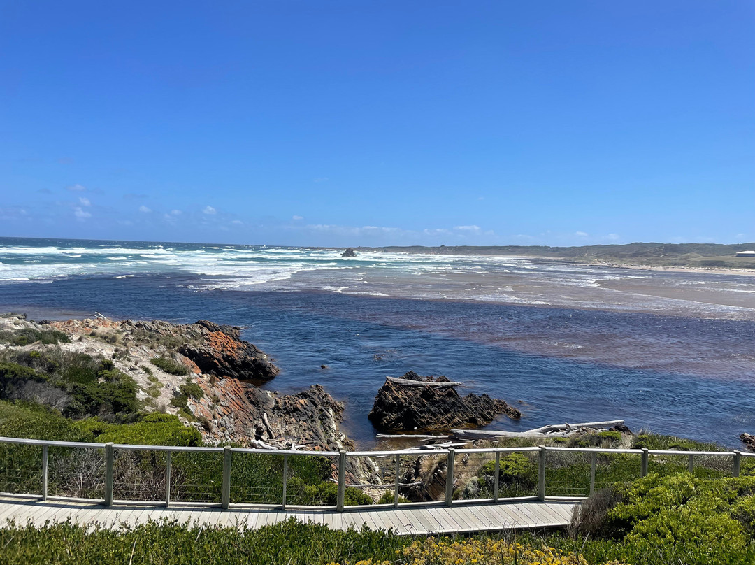 The Tarkine Drive景点图片