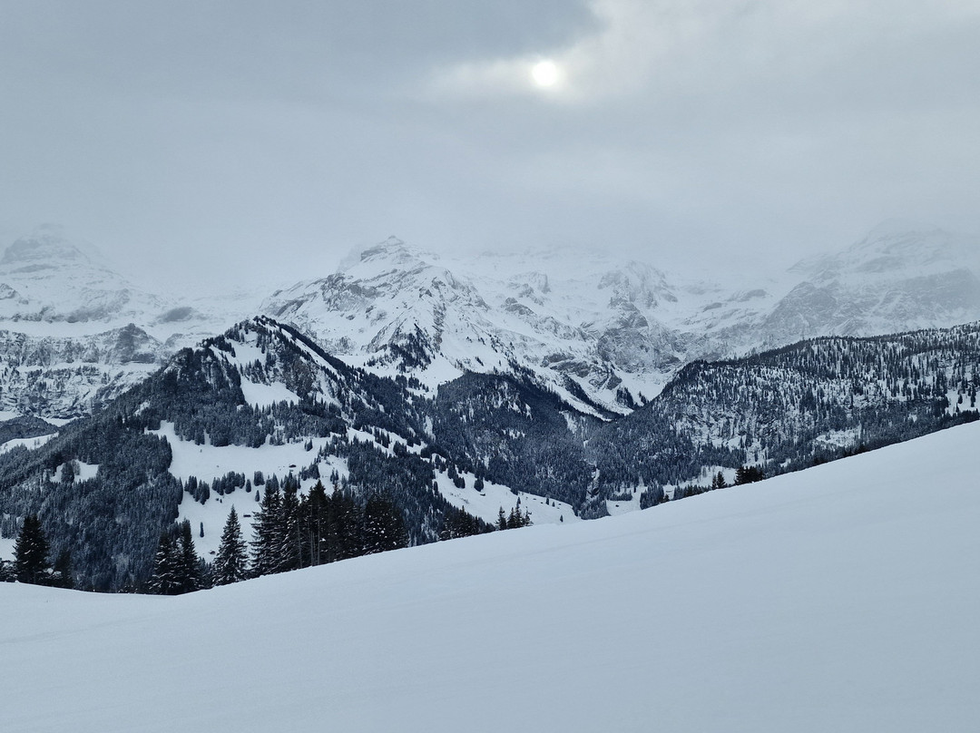 Skigebiet Betelberg-Lenk im Simmental必去景点