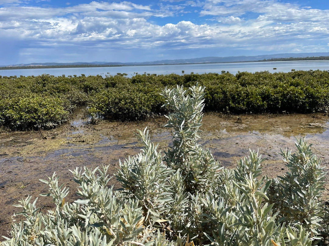 Old Port Walking Trail-Port Albert必去景点