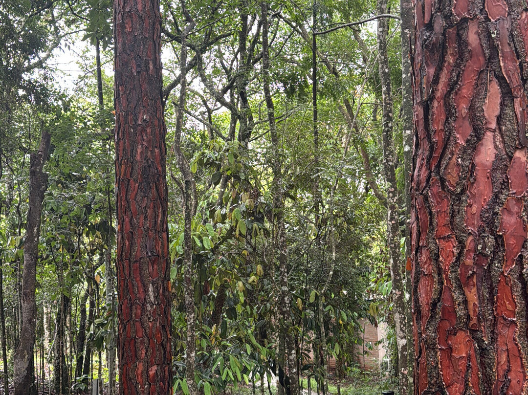 Canto Do Irerê Boutique Hotel主图