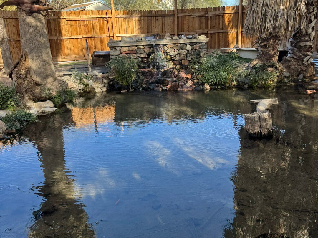 El Dorado Hot Springs-Tonopah必去景点