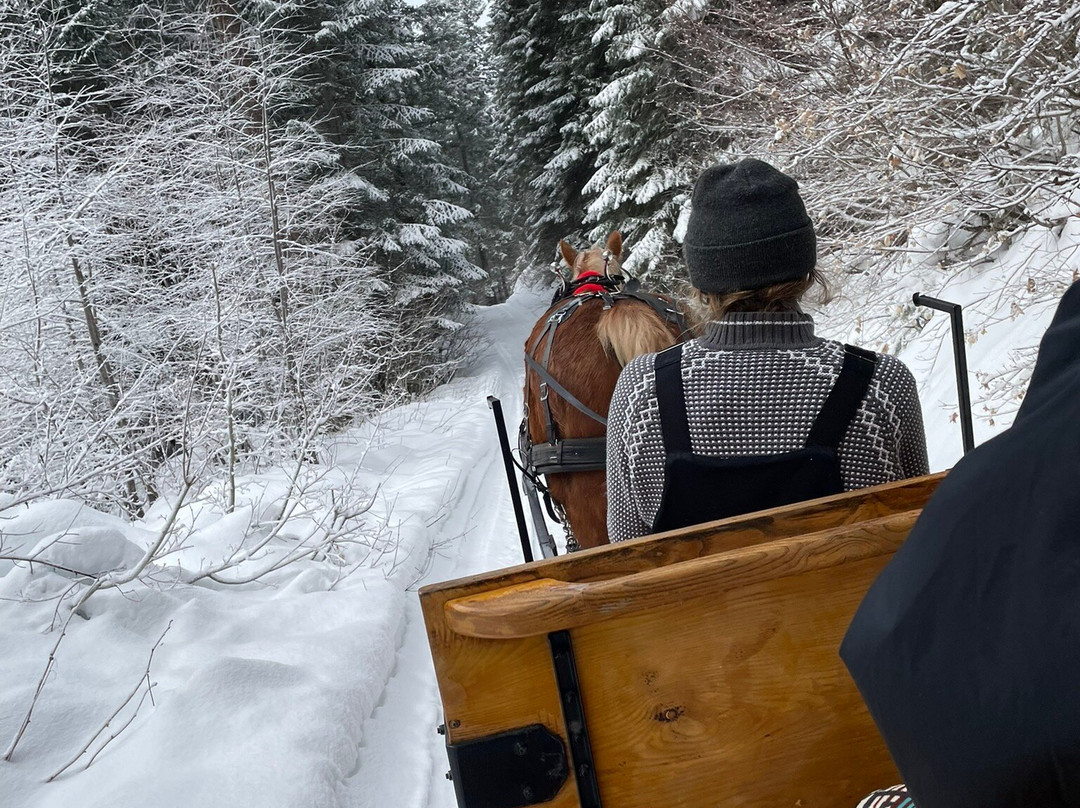 Leavenworth Sleigh Rides景点图片