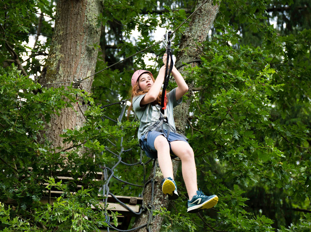 Associazione Adrenalina Parco Avventura Casentino景点图片