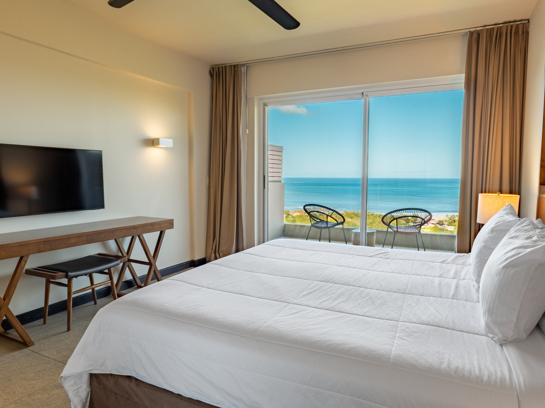 Wyndham Tamarindo主图