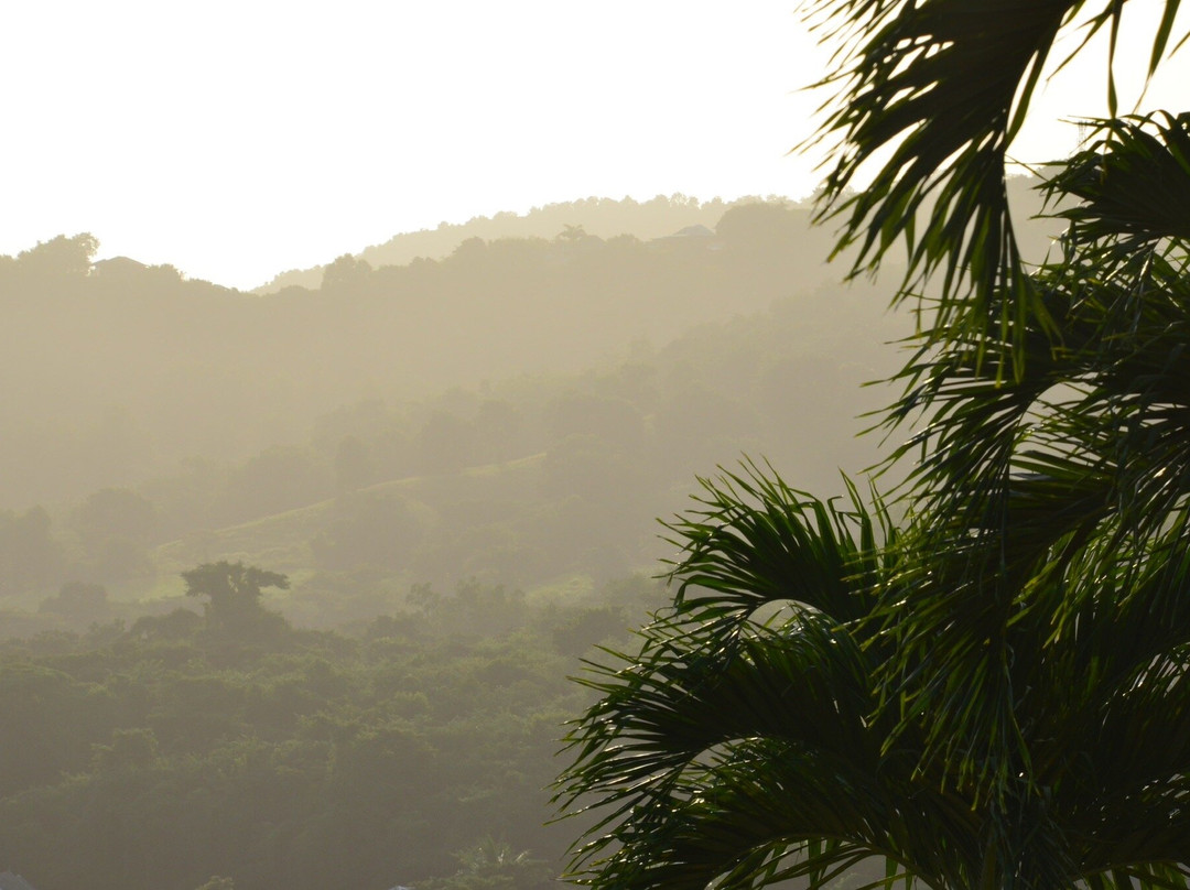 Hotel Le Panoramic主图