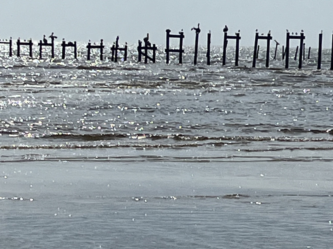 Waveland Beach-Jensen Beach必去景点