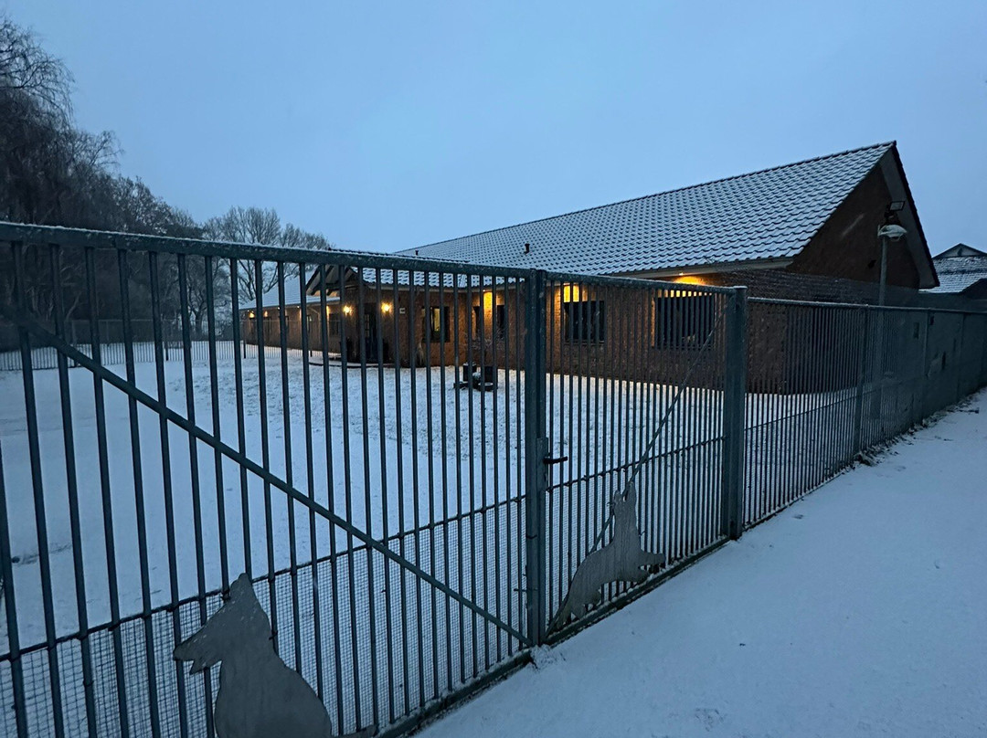 Fellnasen Hotel-Winsen必去景点