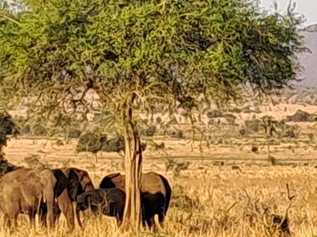 Kidepo Valley National Park-Kitgum必去景点