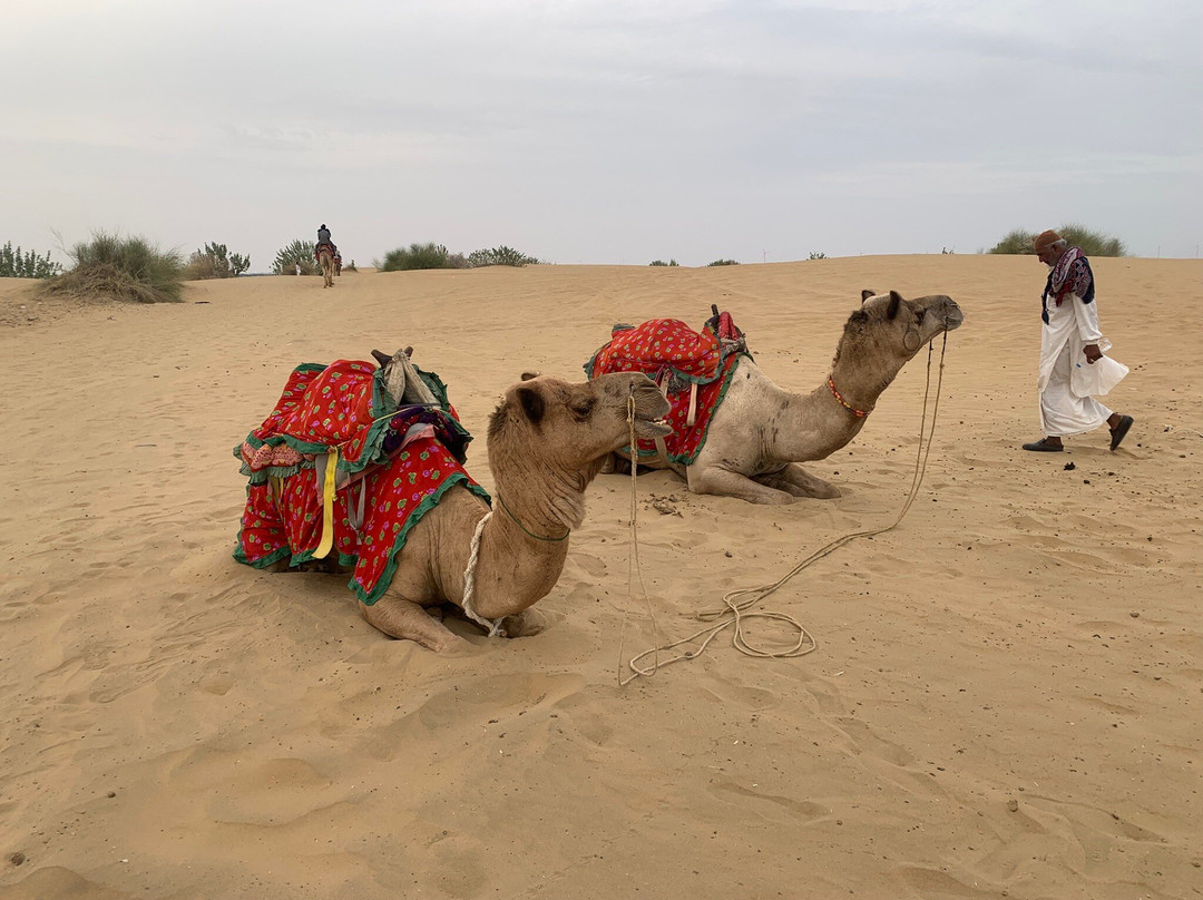 Incredible Camel Safari-杰伊瑟尔梅尔必去景点