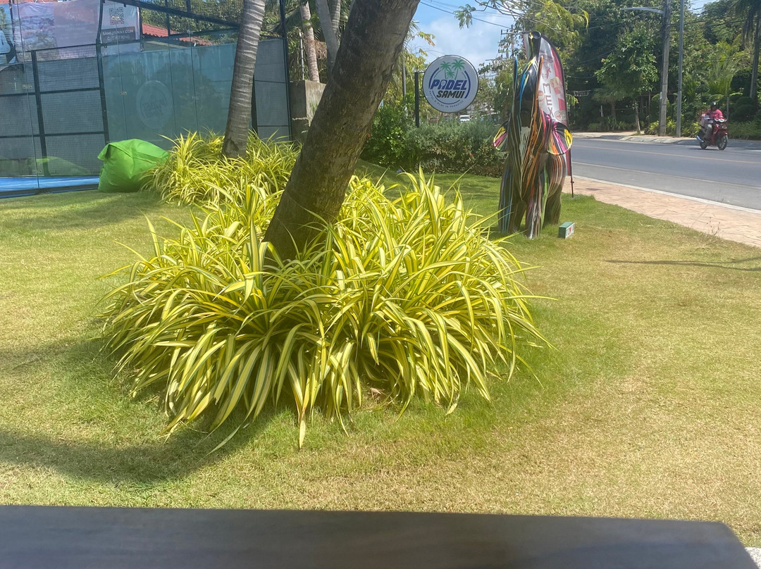 Padel Samui-千手观音庙必去景点