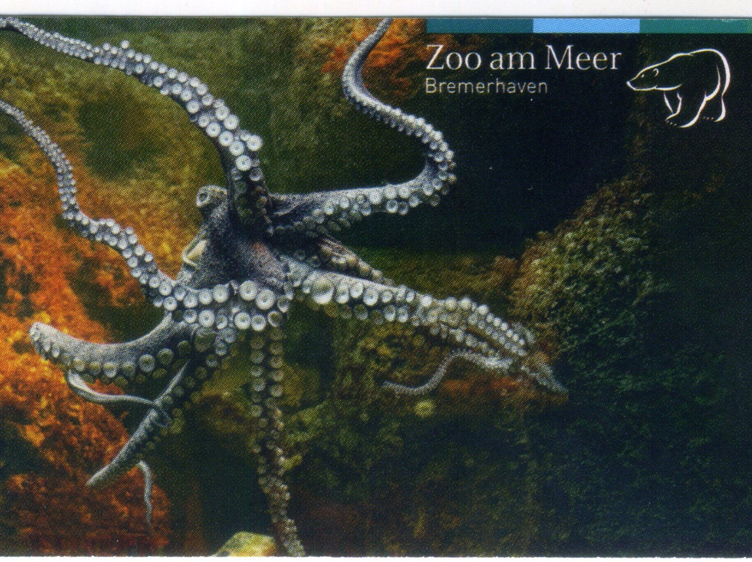 Zoo am Meer-不来梅港必去景点
